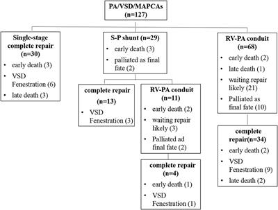 Outcomes After Repair of Pulmonary Atresia With Ventricular Septal Defect and Major Aortopulmonary Collateral Arteries: A Tailored Approach in a Developing Setting